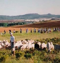 I Marcha: Masegoso de Tajuña-Henche (jornada del 30 de junio de 1996)