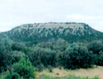 VII Marcha: Hontanares-Masegoso de Tajuña (15 de junio de 2002)