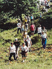 VIII Marcha: ramal Laranueva-El Sotillo (7 de junio de 2003)