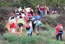 XII Marcha: tramo La Olmeda-Castilmimbre (19 de mayo de 2007)