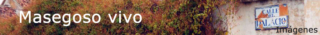 Barra distintiva de Masegoso vivo con una vista de Masegoso de Tajuña
